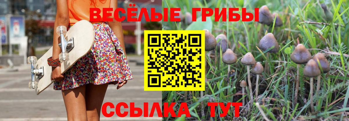 Псилоцибиновые грибы ЛСД  что такое   Псилоцибиновые грибы Psilocybine cubensis  Ипатово  Вход с VPN 