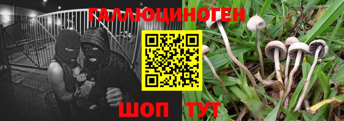 Галлюциногенные грибы мицелий Ипатово